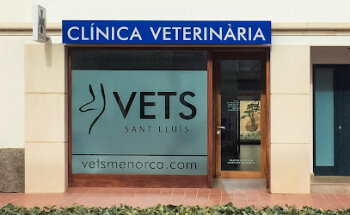 Vets Sant Lluís