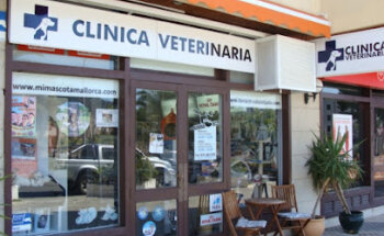 Clinica Veterinaria Cala Ratjada