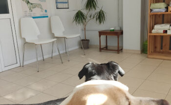 Centro Veterinario La Nao