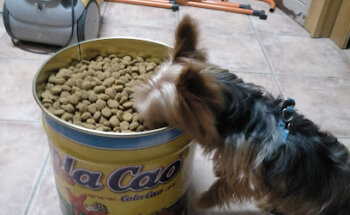 Clínica Veterinaria San Juan