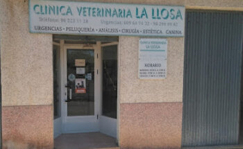 Clinica Veterinaria La Llosa