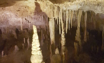 Clinica Veterinaria María Purificación Calderón Roldán