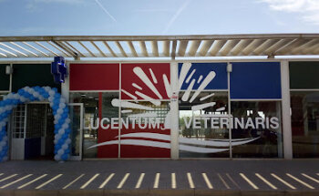 Lucentum Veterinaris