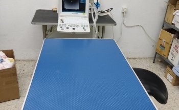 Veterinaria - Clínica de María