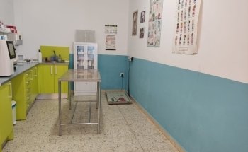 Veterinaria - Clínica de María