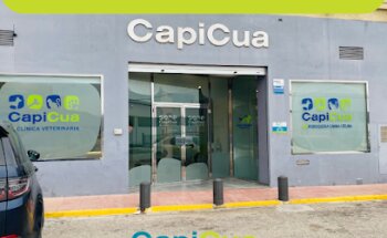 Clínica Veterinaria Cap i Cua l'Alqueria-URGENCIAS