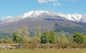 Centro Veterinario Monforte