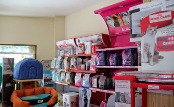 Veterinary Clinic La Adrada