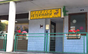 Clínica Veterinaria Bal De Tena