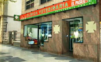 Clínica Veterinaria El Paseo