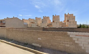 Veterinarios a domicilio Shyva