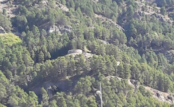 Clínica Veterinaria Animalia