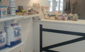 Consulta Veterinaria Elena Sáenz