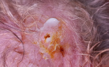 Consultorio Veterinario Potes