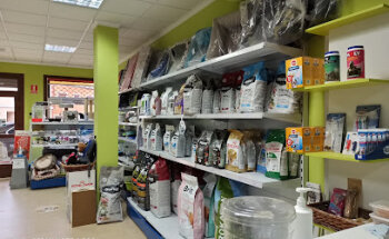 Consulta Veterinaria