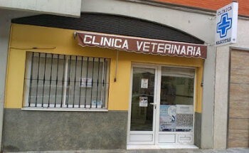 CLÍNICA VETERINARIA MONTILLA mascotas