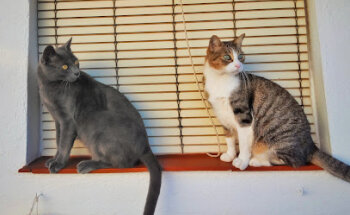 Juan M. Mejías S.R.L.