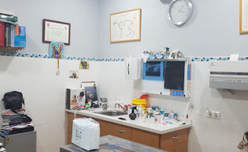 Clínica Veterinaria Piña