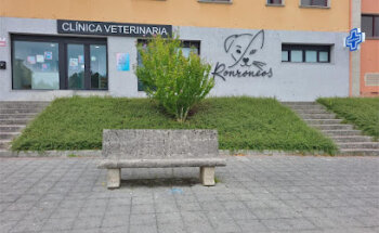Ronroneos Clinica Veterinaria