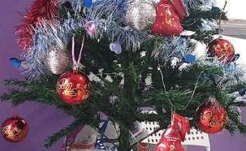 Centro Veterinario A Pontenova