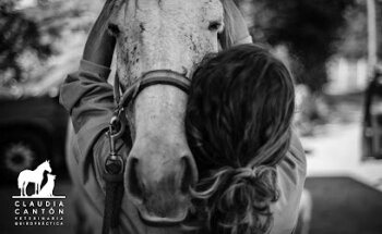 Claudia Cantón Veterinaria Quiropráctica