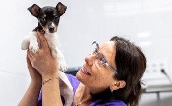 Clínica Veterinaria Bierzoo Cacabelos