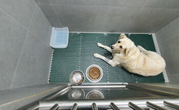 Veterinarios La Caridad