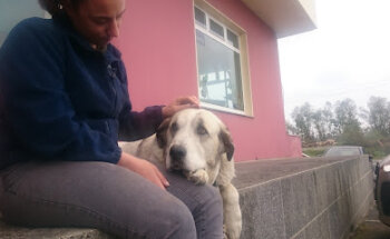 Clinica Veterinaria San Ramon