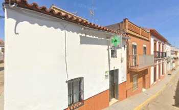 Consulta Veterinaria Nerva