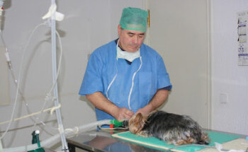 Centro Veterinario Villafranca