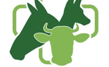 Clínica Veterinaria San Antonio Abad