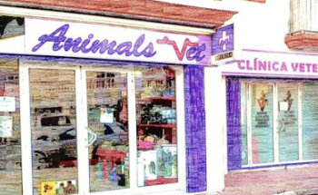 Clinica Veterinaria Animalsvet