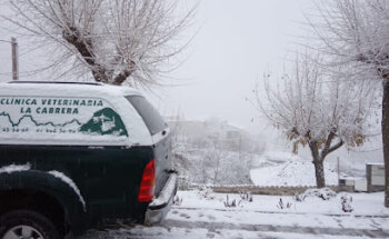 Veterinary Clinic La Cabrera