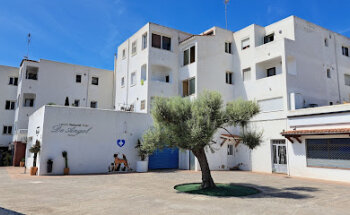 Clínica Veterinaria Port Des Torrent