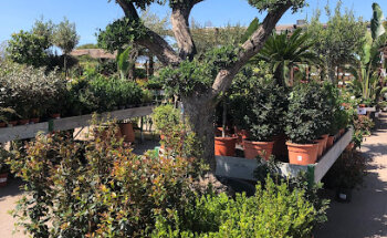 Trópico De Capricornio S L