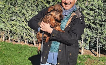 Junta de Castilla y León