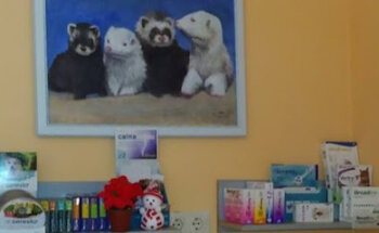 Clinica Veterinaria Huellas. Jarandilla de la Vera