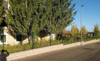 Servicio Veterinario y Farmacéutico Oficial de Tábara