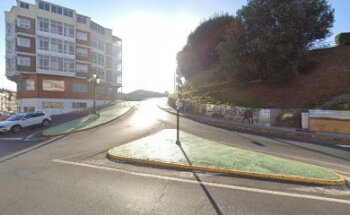 VETERINARIO DE GRANDES ANIMAiS