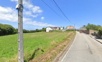 servicios veterinarios la marina s.l.p