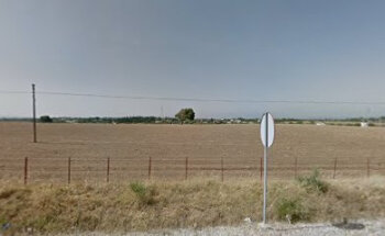 ALBEITAR VETERINARIOS