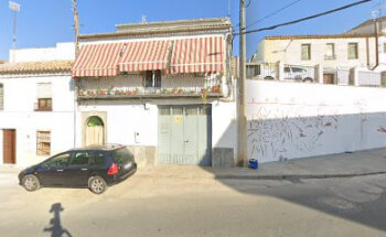 Consulta Veterinaria Julia Campaña