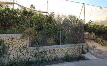 Ana Ferrando Etología