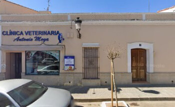 Veterinario Moya