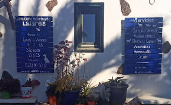 Consultorio Veterinario Lajares