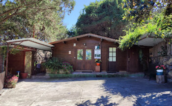 Clínica Veterinaria San José. Dr. Jesús Hugo Ruy López