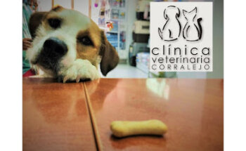 Veterinary Clinic Corralejo
