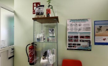 Clínica Veterinaria Baltavet