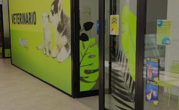 Koala Mascotas pet shop Trocadero