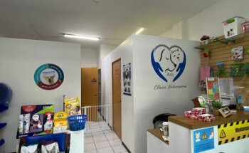 Asís Clínica Veterinaria